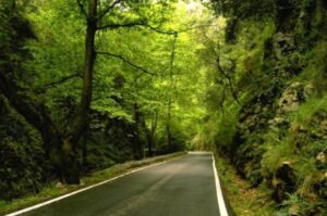 THERISSO-village-chania-foliahotel